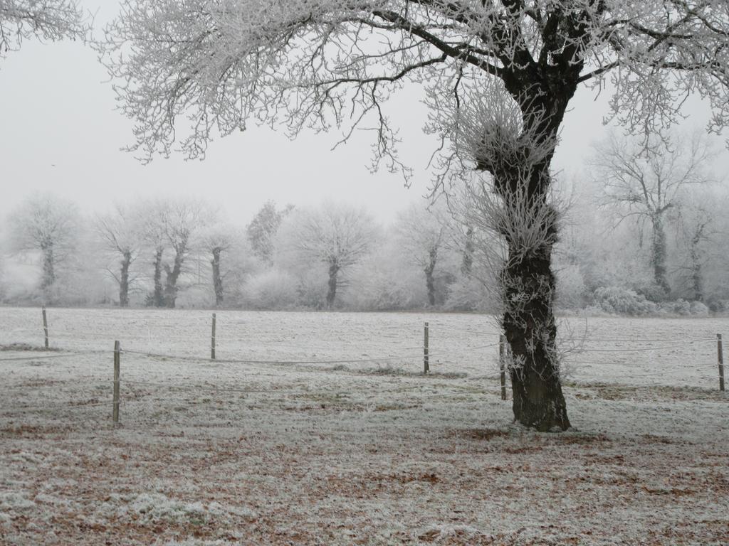 Les Gites D'Emilie Melesse Luaran gambar